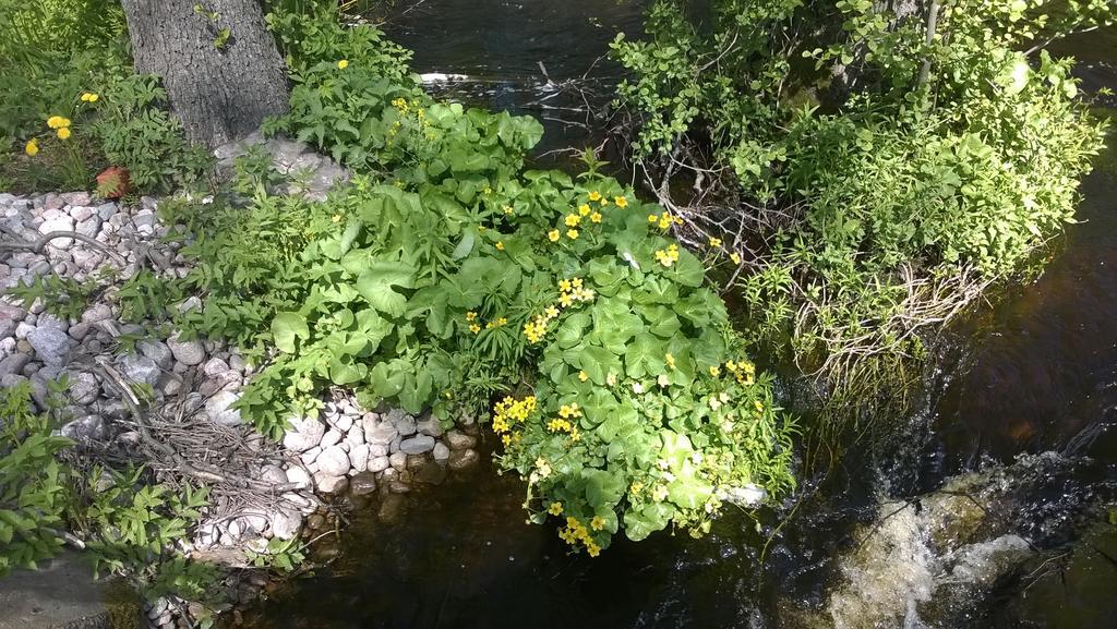 Kirjakkalan Ruukkikylae Teijo Экстерьер фото